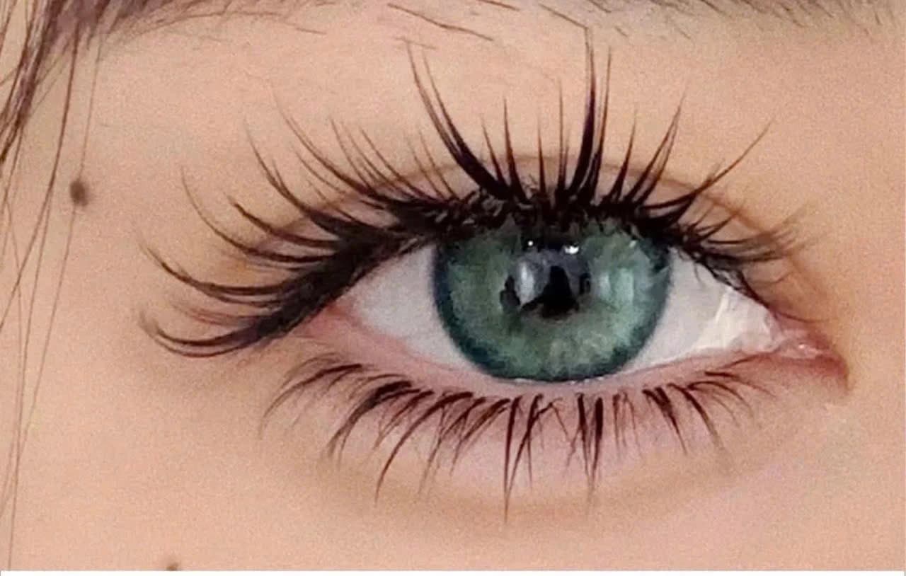 Wimpertrends 2026: Van Naturel tot Hybrid Luxe